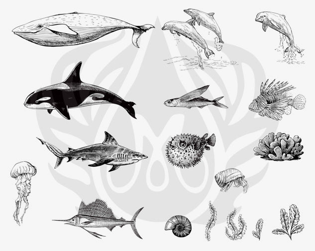 Šablona na sítotisk Mayco DSS-131 Sea Life 2 – velryba, delfíni, kosatka a žralok