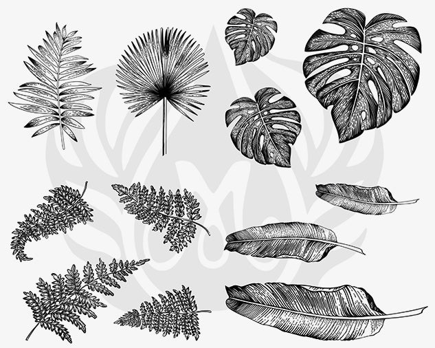 Šablona na sítotisk Mayco DSS-166 Tropical Leaves – monstera, palmové a banánové listy