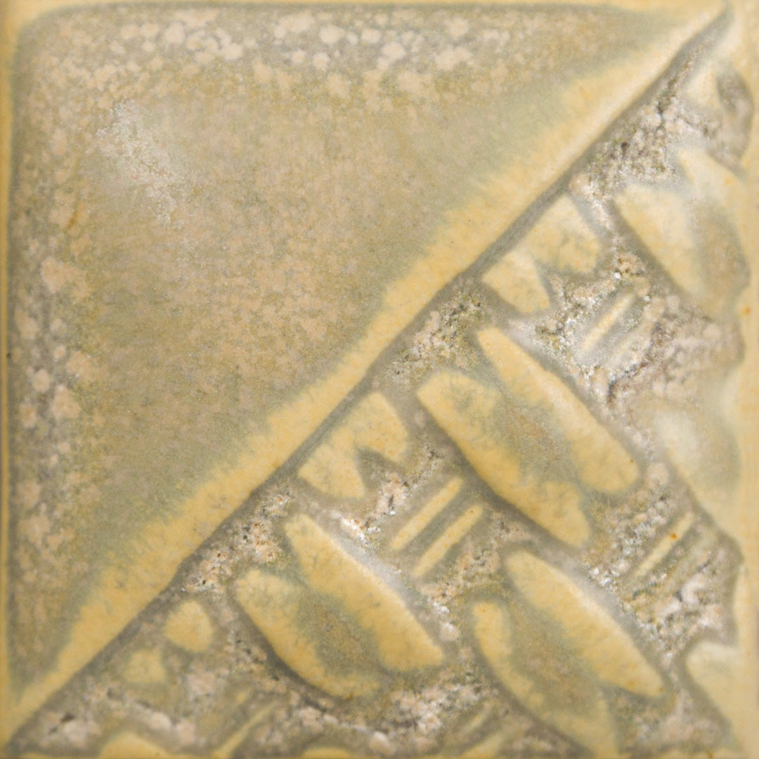 Fossil Rock