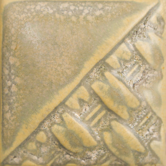 Fossil Rock