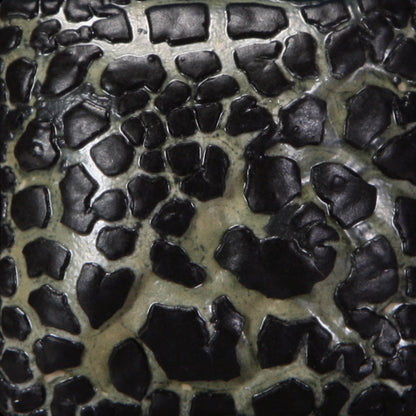 Black Mudcrack