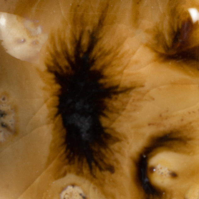 Cone 6 – oxidace