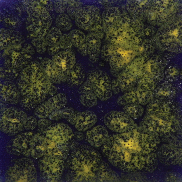 Reaktívna glazúra Mayco Jungle Gems CG-990 Starry Night