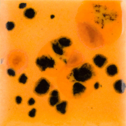 Reaktívna glazúra Mayco Jungle Gems CG-1013 Papaya