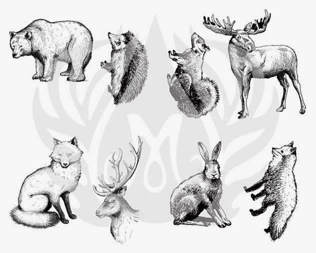Šablona na sítotisk Mayco DSS-101 Woodland Animals – medvěd, liška, jelen, los a zajíc