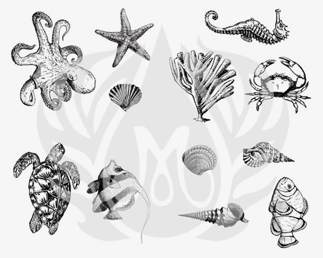 Šablona na sítotisk Mayco DSS-102 Sea Life – chobotnice, želva, krab a mořský koník