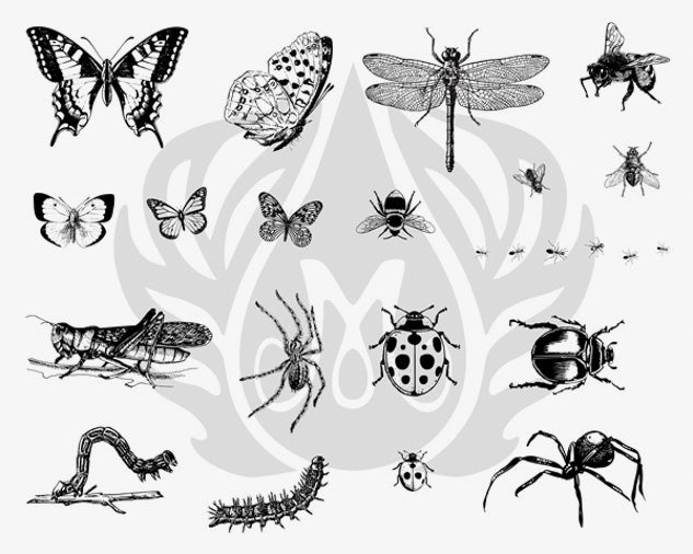 Šablona na sítotisk Mayco DSS-113 Bugs – motýli, vážka, včely a berušky
